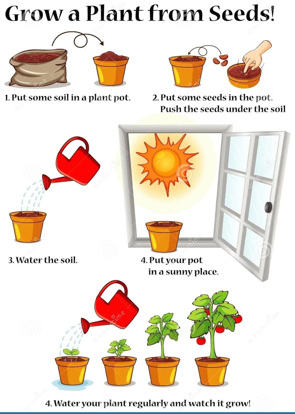 Premium Flower Seeds Combo + Free Vermicompost + Free Soil Mix