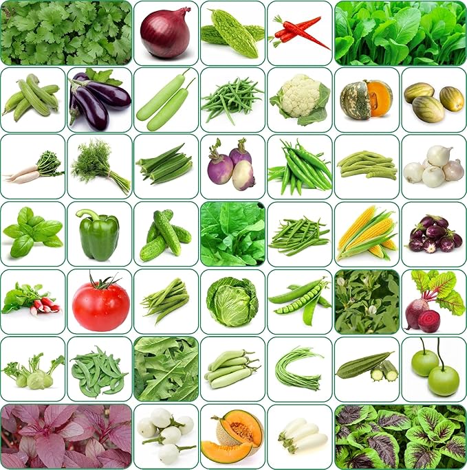 Premium Vegetable Seeds Combo + Free Vermicompost + Free Soil Mix
