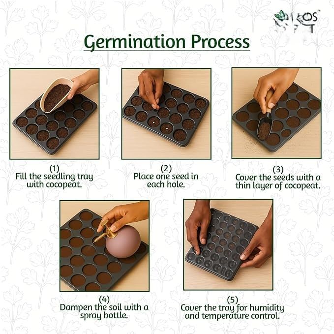 Premium Vegetable Seeds Combo + Free Vermicompost + Free Soil Mix